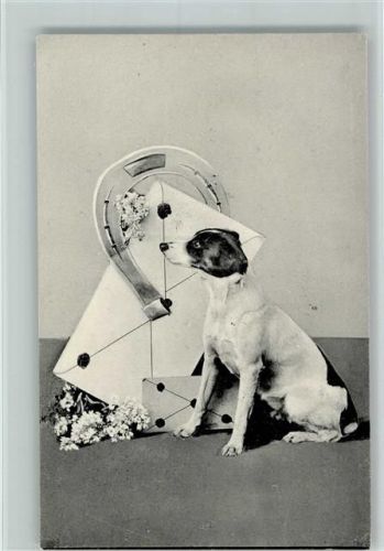 1907 Hund Briefkuvert Hufeisen