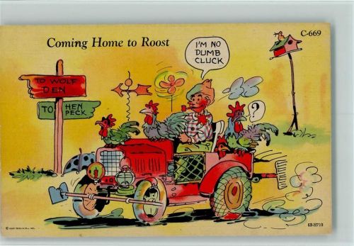Coming Home to Roost Bauer Hühner