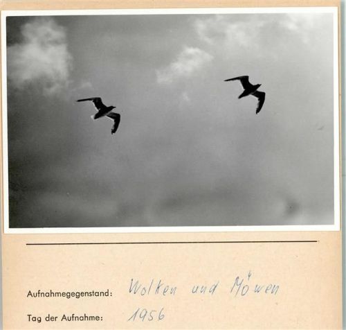 Foto montiert auf Karton