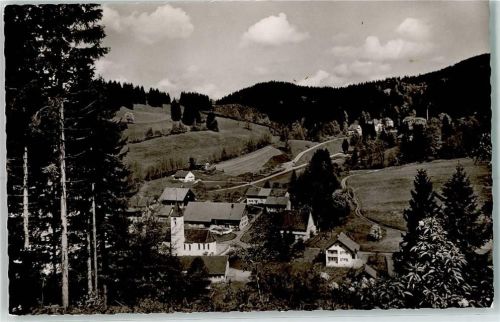 Bolsternang