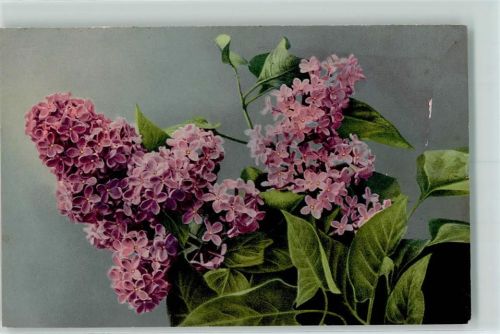 Serie 567 Nr. 1388 Blumenvase AK