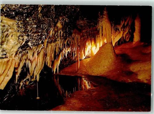Buchen Rückseite mit Abschürfungen bzw Kleberesten Eberstadter Tropfsteinhöhle