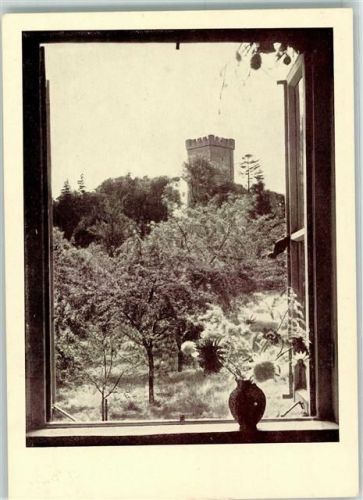 Holle Rückseite mit Abschürfungen und Kleberesten Haus Wohldenberg Baustein