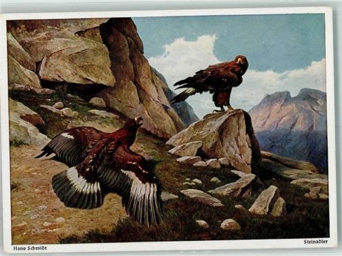 Steinadler Hans Schmidt Raubvogel Künstlerkarte