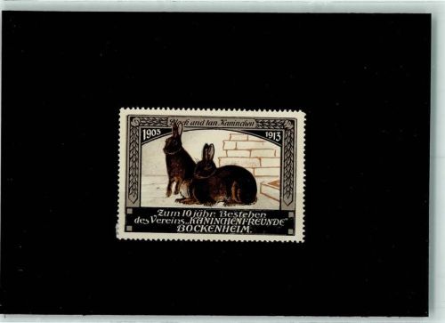 Bockenheim Black and tan Kaninchen Kaninchenfreunde