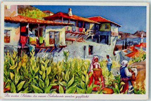 Melnik Bulgaria Krone - Tabakdorf AK Tabak 1937
