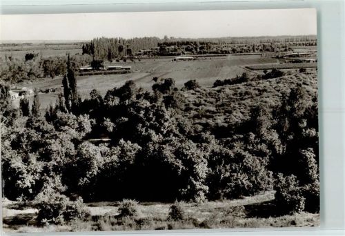 Mendoza Westermann Dia und Foto Argentinien Bild 113409 Weinbauoase