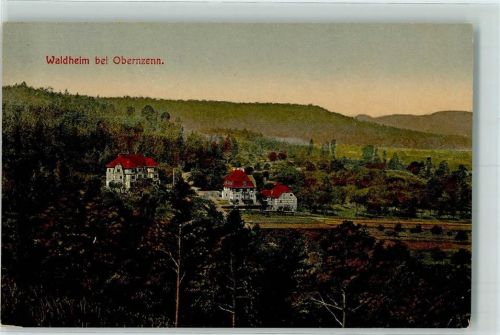 Obernzenn 1916 Waldheim bei Obernzenn AK