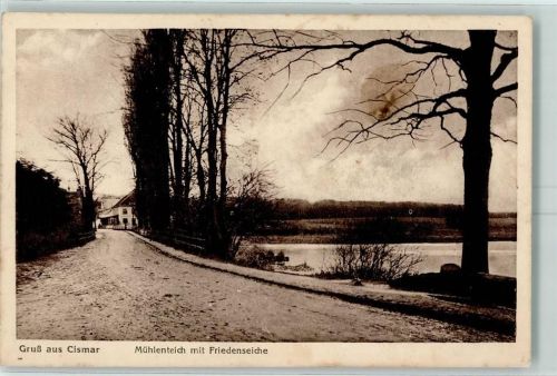 Cismar Mühlenteich Friedenseiche