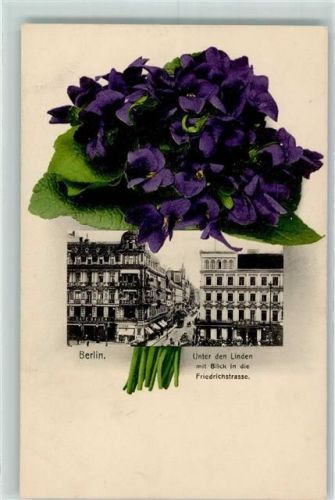 Berlin Mitte 1910 Nr. 624 Unter den Linden AK