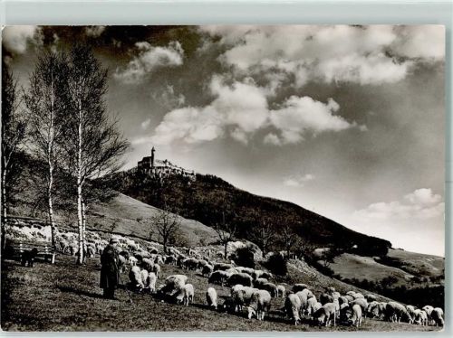 Kirchheim Schafe Schäfer Burg Teck