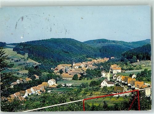 Steina