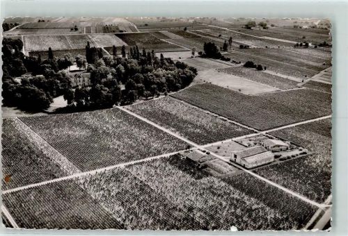 Saint-Emilion Chateau Monbousquet Weingut