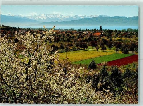 88079 W7993 Kressbronn am Bodensee - Schweizer Hochgebirgskette