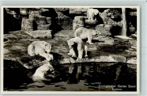 Basel Zoo