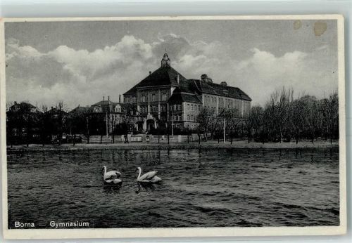 Borna Gymnasium Schwäne