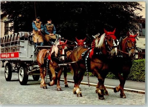 Zürich 1974 Vierergespann Bierwagen Brauerei Hürlimann AK