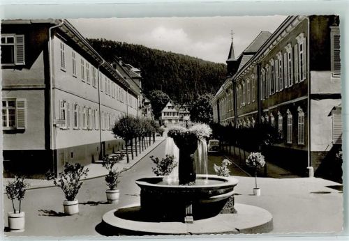 Bad Teinach Springbrunnen