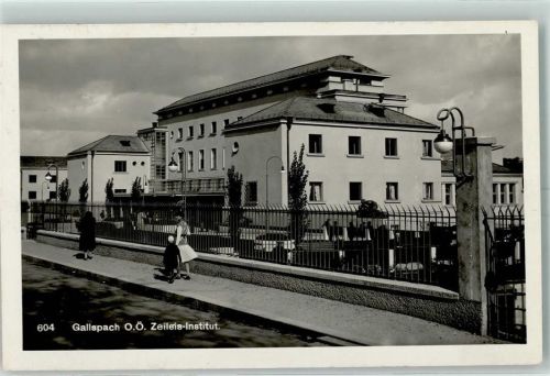 Gallspach Institut Zeileis