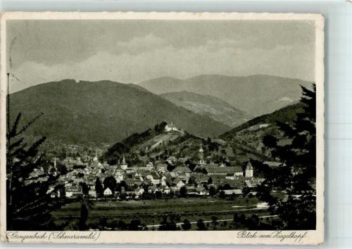 Gengenbach Blick vom Ziegelkopf