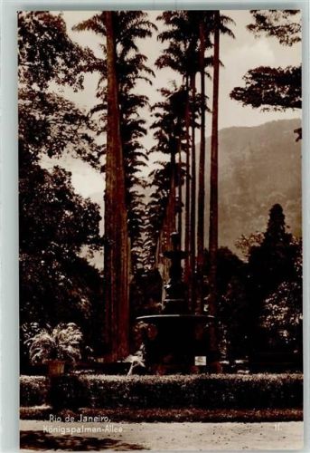 Rio de Janeiro Trinks Bildkarte Königspalmen Allee Reihe 780 Bild 11