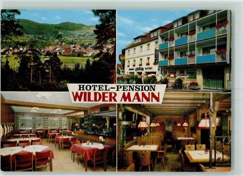 Königstein Hotel Pension Wilder Mann K. Pirner