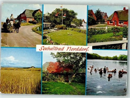 Norddorf Seeheilbad Ponykutsche See Enten Nordseeinsel Amrum
