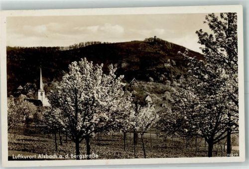 Alsbach Baumblüte