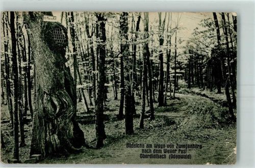 Oberdielbach Turistenheim Weiler Post Bildeiche am Wege von Zwingenberg nach der Weiler Post