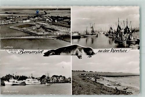 Bensersiel Hafen Dampfer Fischkutter Strand Robbe