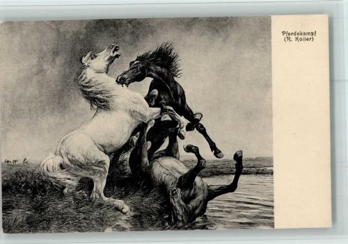 Nr. 42 Verlag Brunner & Co , Pferdekampf - , gute Erhaltung
