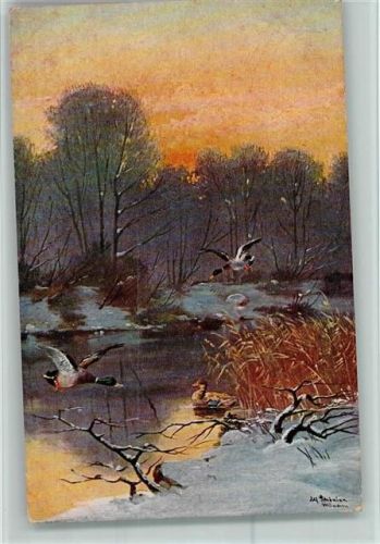 1912 Wildenten im Winter - Kunstverlag Rehn & Linzen Nr. 1839 AK