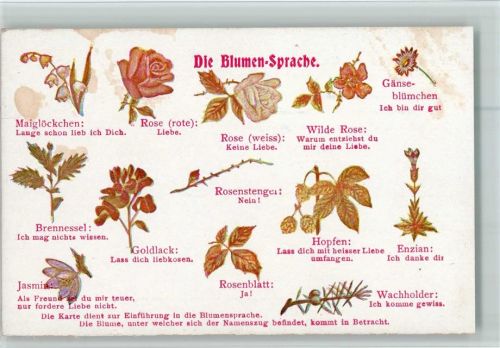 ca 1900 AK Flecken Blumensprache