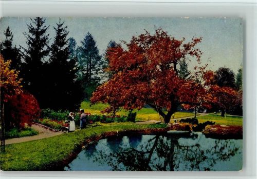 Herbst - die Bäume - Gartenmotiv , gute Erhaltung Gartenbau