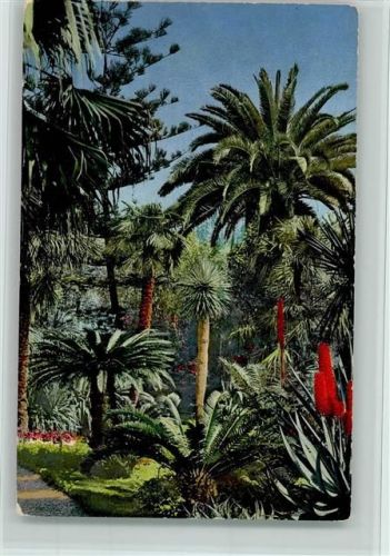 San Remo Serie 138 Nr. 2636 - Riviera di Ponente , gute Erhaltung AK