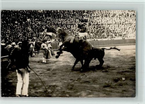 1935 Stier greift ein Pferd an, gute Erhaltung