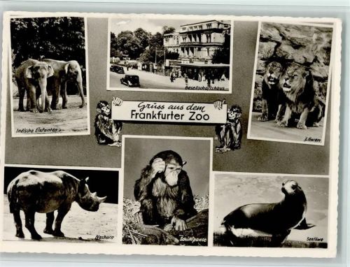 Gesellschaftshaus, Nashorn, Affe - gute Erhaltung