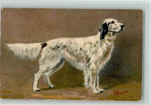 Nr. 94 Cocker Spaniel - Epagneu , Edition Stehli