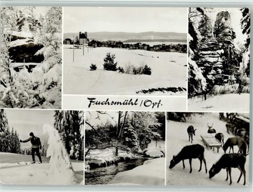 Fuchsmühl Winter