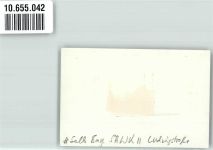 95100 W8672 Selb Privatfoto KEINE AK WK II Ludwigstraße Ort handschriftlich