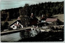 93474 W8491 Arrach , Bayerischer Wald - Pension Eschelsaign