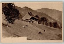 Bergweide im Schwarzwald Idylle Nr 23 Elchlepp