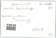 Bad Landeck Ladek-Zdroj FOTO KEINE AK Gasthaus Tannenhof