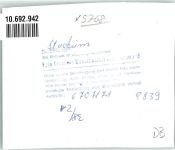 59846 W5768 Stockum , Sauerl FOTO KEINE AK Fliegeraufnahme Ort handschriftlich