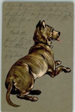 Lithographie Dogge 1902 Prägedruck