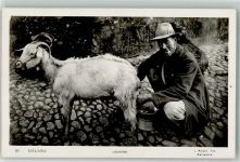Malaga Volkstypen Lechero Ziege melken Ziege 1931 Foto AK
