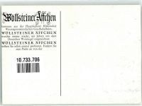 W6551 Gau-Bickelheim Wöllsteiner Äffchen Rheinhessen-Wein Wein