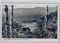 Stadt Bad Altheide / Polanica Zdroj - Steinberg