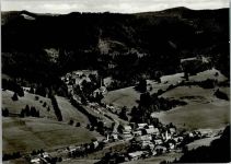 88316 W7972 Bolsternang - Luftaufnahme