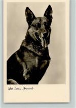 Der treue Freund - Foto AK Schäferhund